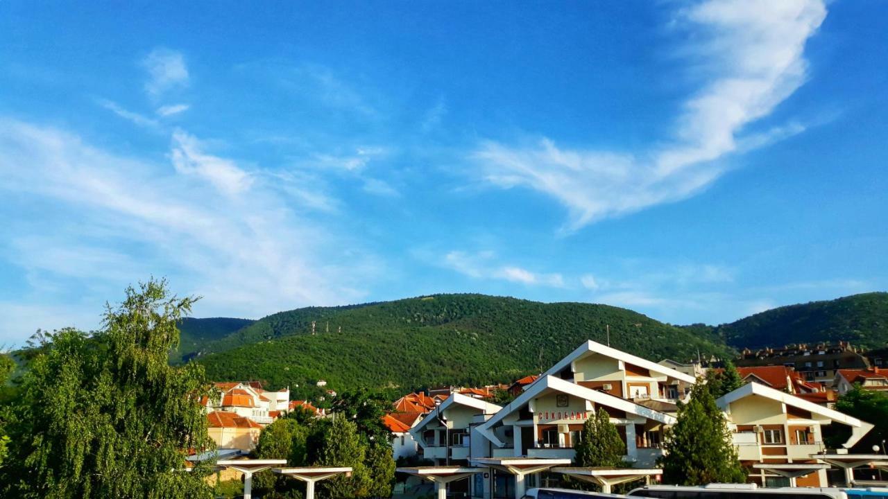 Vila Simic Sokobanja Exterior foto